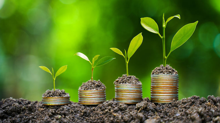 About the green economy